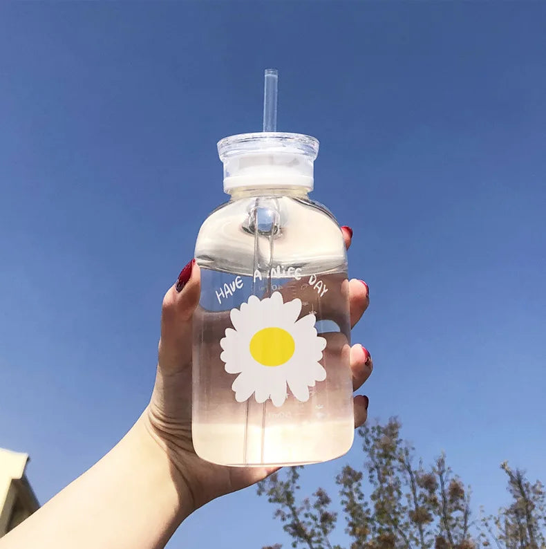 480ml Water Bottle Small Daisy Milk Juice Cute Kawaii Frosted Glass Bottle with Straw Drinking Cups with Scale 2 Lids